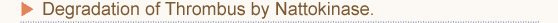 Efficacy of Natto and Nattokinase. Degradation of Thrombus by 